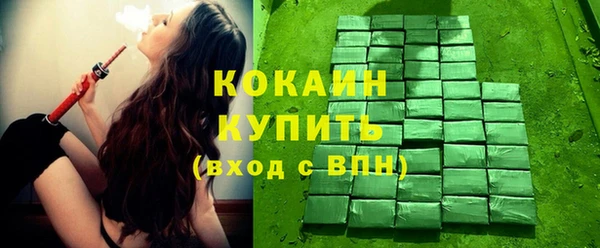 дмт Фёдоровский