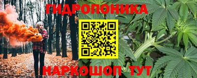гидра Волгодонск