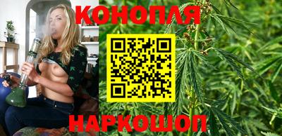 гидра Волгодонск