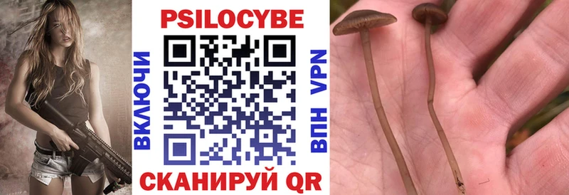 Галлюциногенные грибы мицелий где найти наркотики kraken Губаха