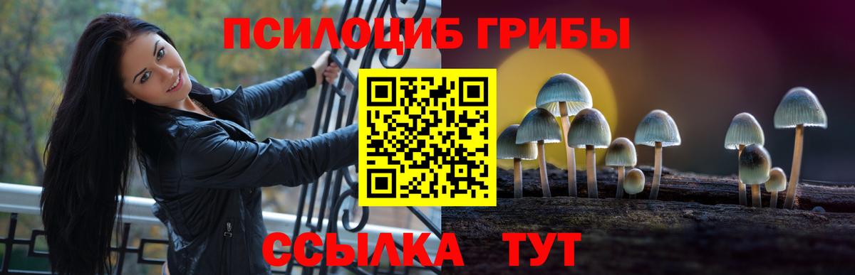 Губаха  Галлюциногенные грибы Cubensis  Вход с VPN  Псилоцибиновые грибы Magic Shrooms 