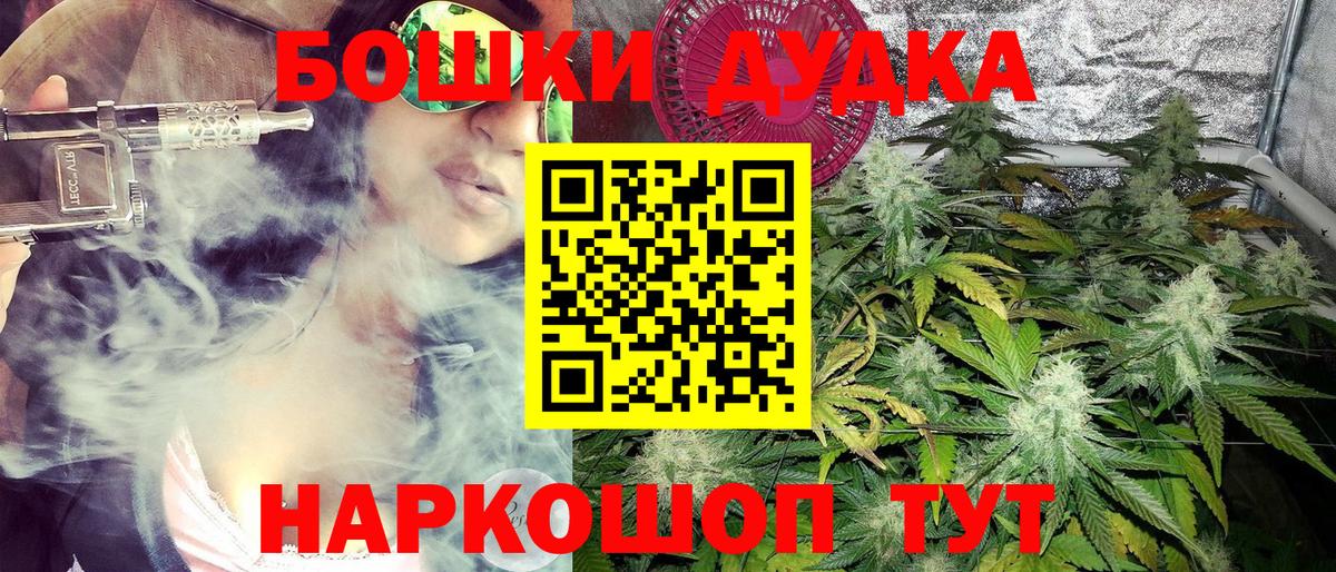 Бошки Шишки индика Губаха